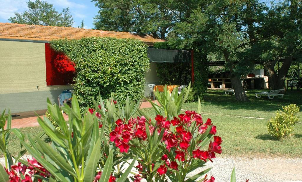Casa Vacanze Guardamare San Vincenzo Cameră foto