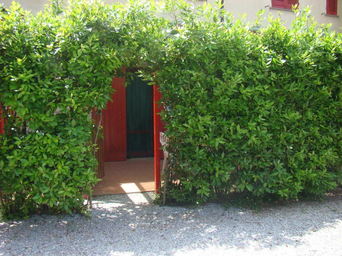Casa Vacanze Guardamare San Vincenzo Exterior foto
